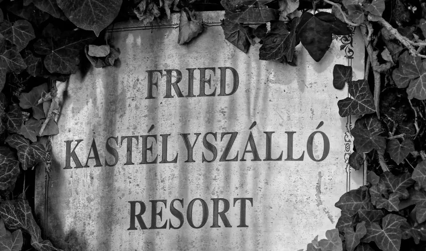 Fried Kastly Hotel Simontornya - Oktber 23. (min. 2 j)