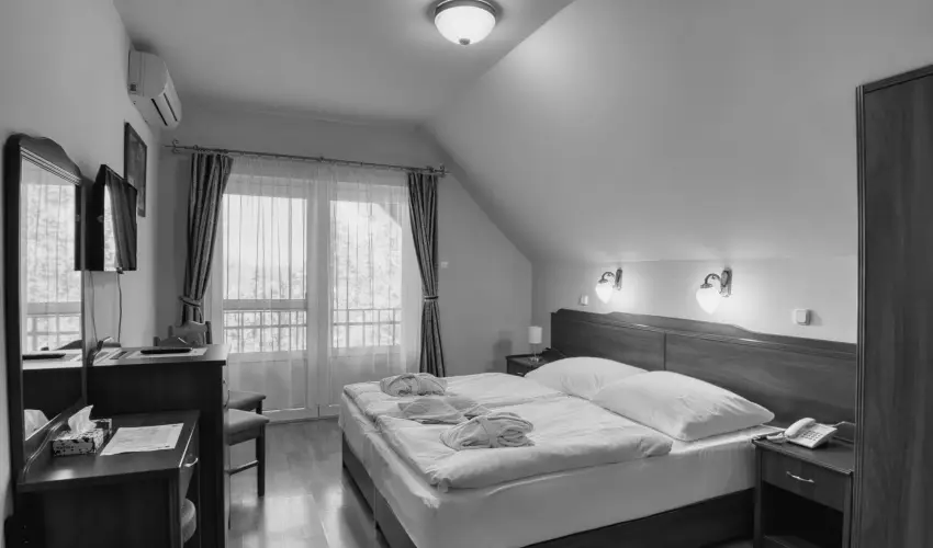 Fried Kastly Hotel Simontornya - Oktber 23. (min. 2 j)