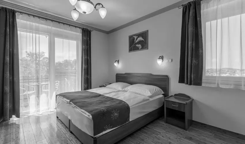 Fried Kastly Hotel Simontornya - Oktber 23. (min. 2 j)