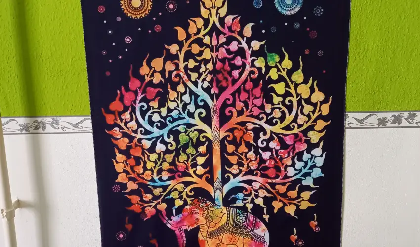 Gbor Vendghz Eger - Oktber 23.