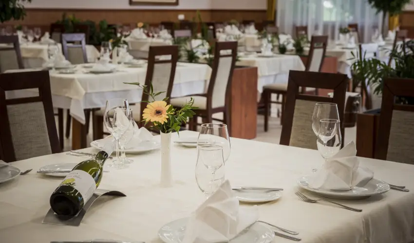 Garden Hotel Wellness & Konferencia Szolnok - deskettes romantika (min. 2 j)