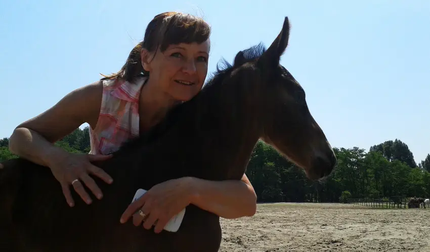 Gerby Kria Hotel s Lovasudvar Lajosmizse - Oktber 23. 