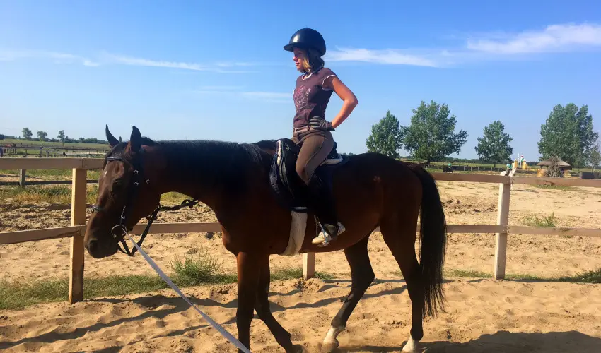 Gerby Kria Hotel s Lovasudvar Lajosmizse - Oktber 23. 