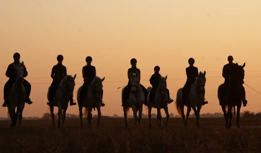 Gerby Kria Hotel s Lovasudvar Lajosmizse - Oktber 23. 