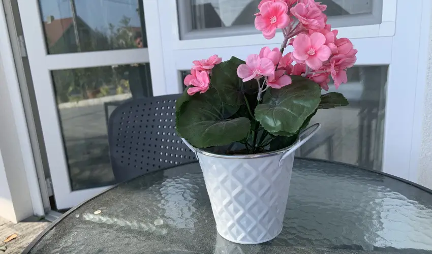 Mese Panzió Zalakaros - Október 23.