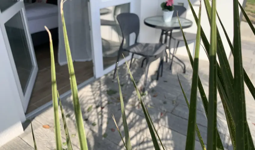 Mese Panzió Zalakaros - Október 23.