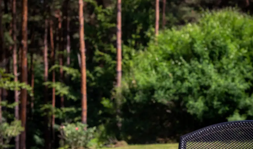 Gosztola Gyngye-az erd szllodja Gosztola - Oktber 23. (min. 3 j)