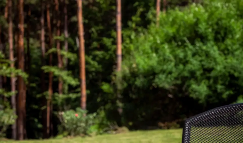 Gosztola Gyngye-az erd szllodja Gosztola - Oktber 23. (min. 3 j)