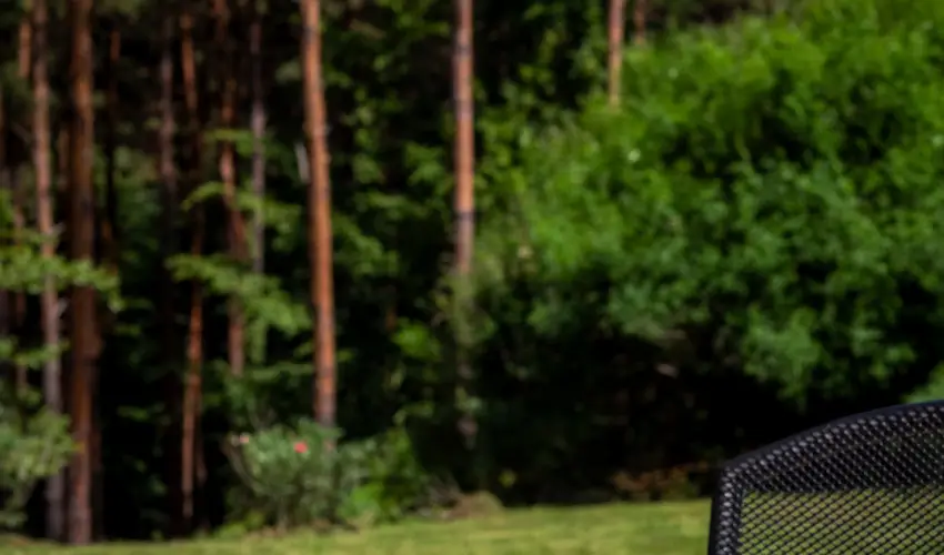 Gosztola Gyngye-az erd szllodja Gosztola - Oktber 23. (min. 3 j)