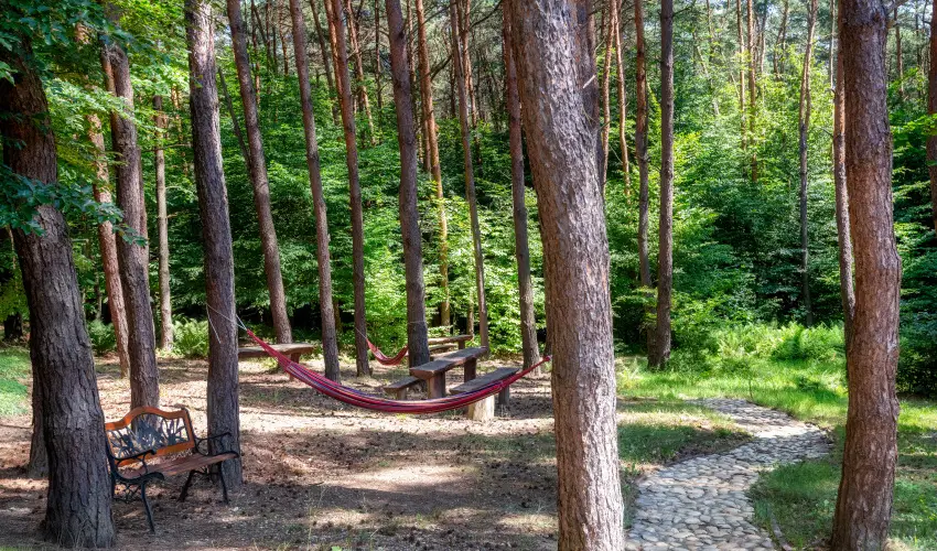 Gosztola Gyngye-az erd szllodja Gosztola - Oktber 23. (min. 3 j)