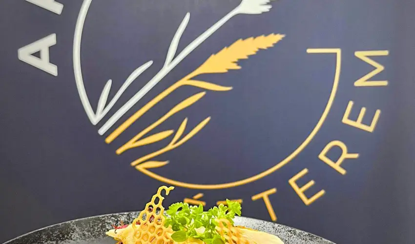 Gyirmt Sport & Wellness Hotel Gyr - Oktber 23. 