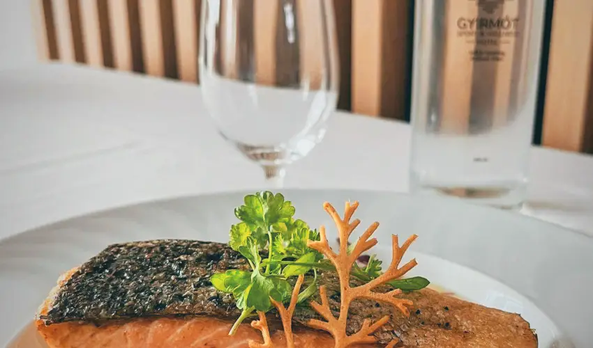 Gyirmt Sport & Wellness Hotel Gyr - Oktber 23. 