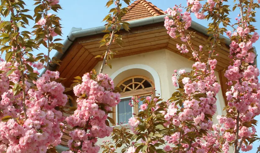 Hajd Kastly Hotel Hajdszoboszl - Oktber 23. (min. 3 j)