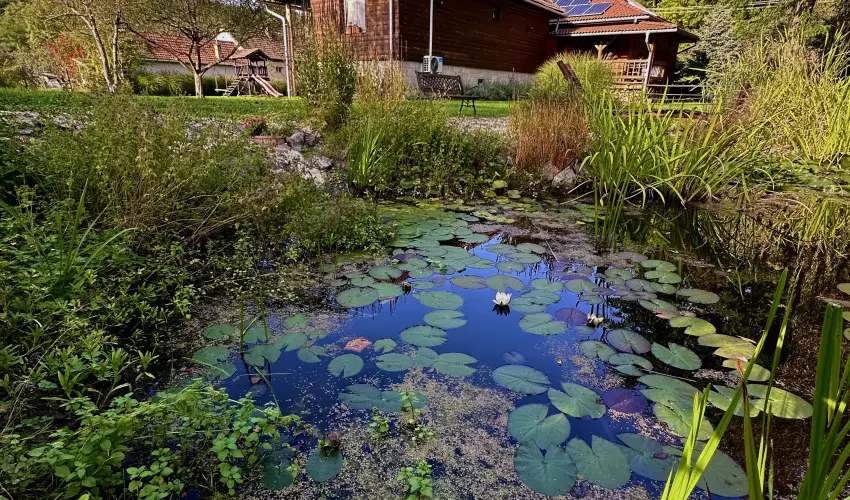 Halhza Vendghz Sirok - Oktber 23. (min. 2 j)