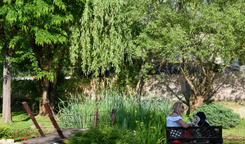 Halhza Vendghz Sirok - Oktber 23. (min. 2 j)