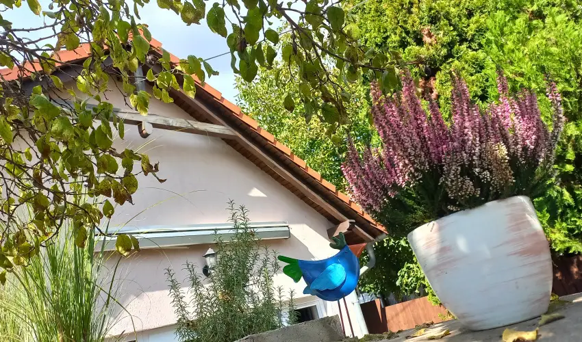 Hanga-lak Velence - Oktber 23. (min. 2 j)