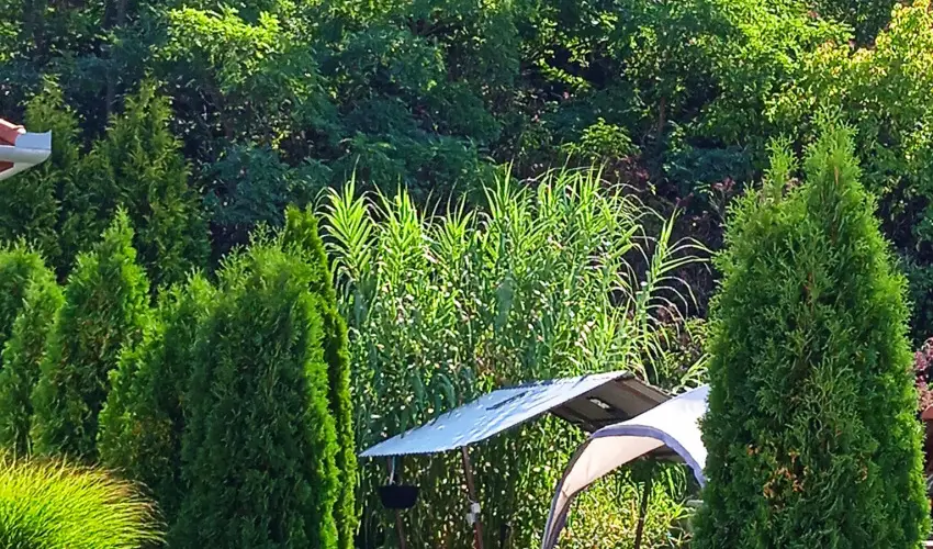 Harmony Vendghz Egerszalk - Oktber 23. (min. 3 j)