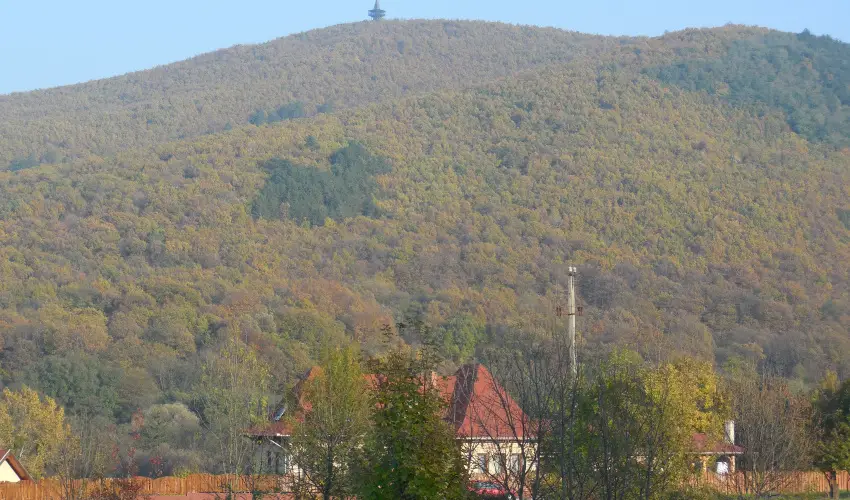 Hegyi Panzi Szilvsvrad - Oktber 23. (min. 2 j)