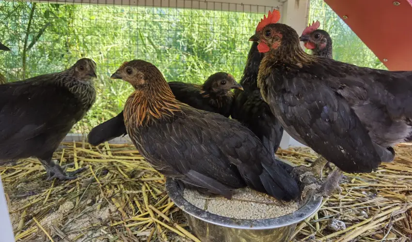 Helna Hotel & SPA Levl - Oktber 23.