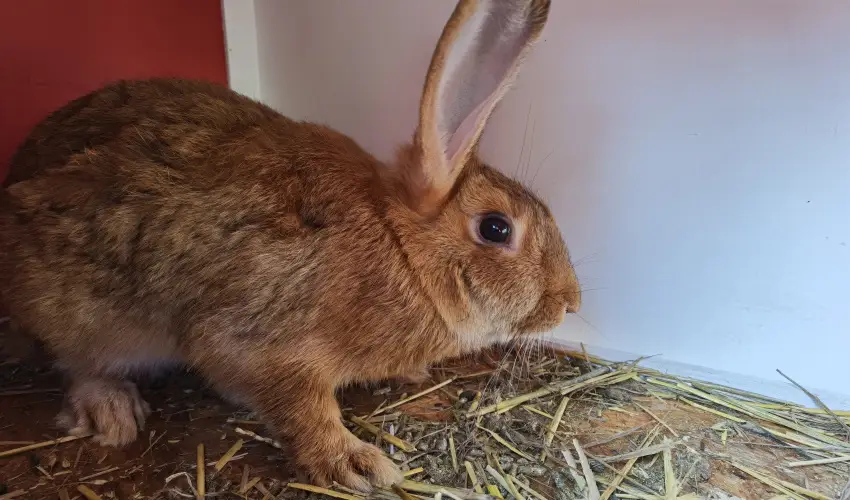 Helna Hotel & SPA Levl - Oktber 23.