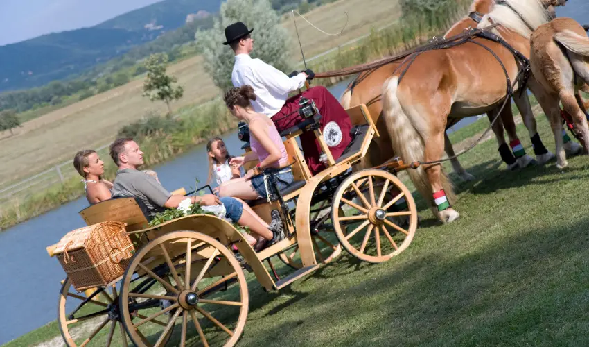 Htkti Wellness Hotel & Lovaspark Mr - Oktber 23. 