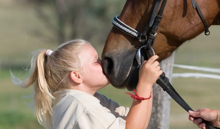 Htkti Wellness Hotel & Lovaspark Mr - Oktber 23. 