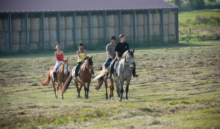 Htkti Wellness Hotel & Lovaspark Mr - Oktber 23. 