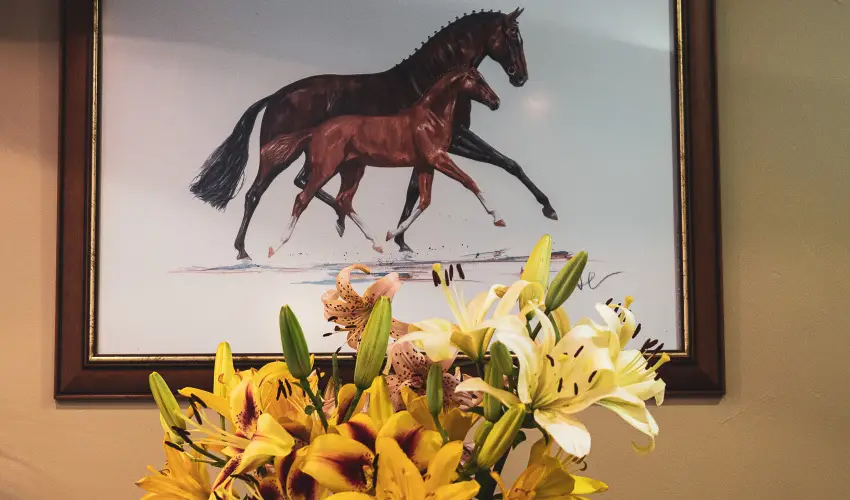 Htkti Wellness Hotel & Lovaspark Mr - Oktber 23. 