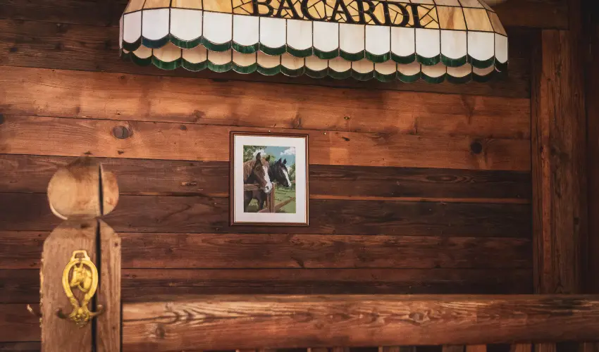 Htkti Wellness Hotel & Lovaspark Mr - Oktber 23. 