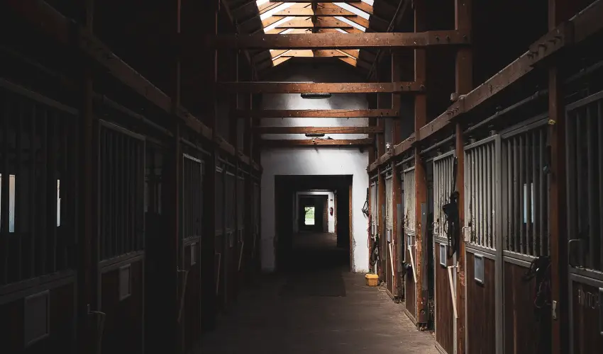 Htkti Wellness Hotel & Lovaspark Mr - Oktber 23. 