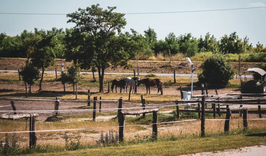Htkti Wellness Hotel & Lovaspark Mr - Oktber 23. 