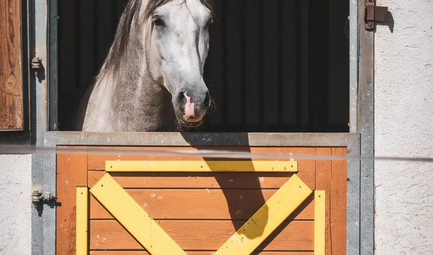 Htkti Wellness Hotel & Lovaspark Mr - Oktber 23. 