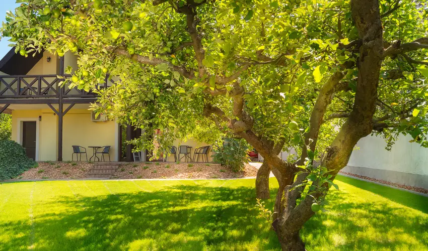 Honti Panzi Visegrd - Oktber 23. (min. 2 j)