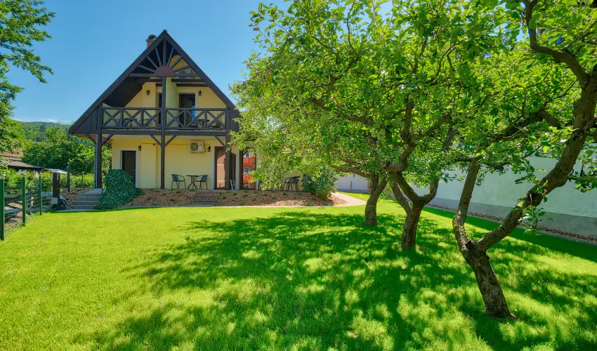 Honti Panzi Visegrd - Oktber 23. (min. 2 j)