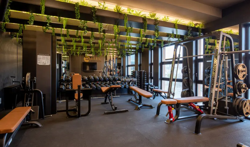 Hotel Bodrog Wellness & Elix Spa S�rospatak - Okt�ber 23. (min. 3 �j)