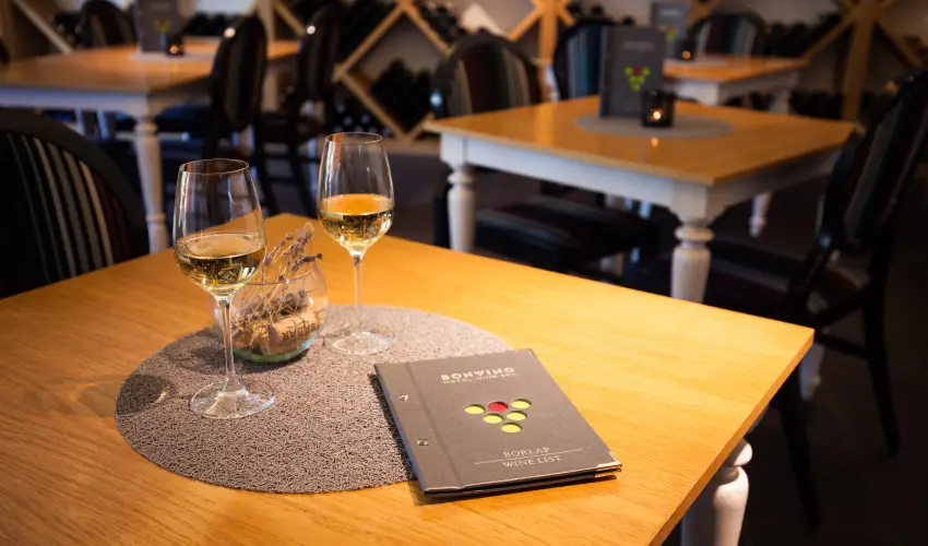 Hotel Bonvino Wine & Spa Badacsony - Október 23.