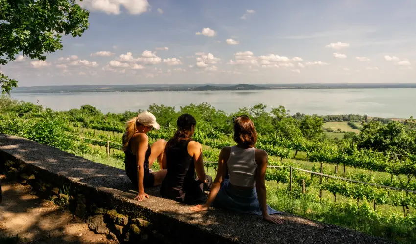 Hotel Bonvino Wine & Spa Badacsony - Okt�ber 23. (min. 2 �j)