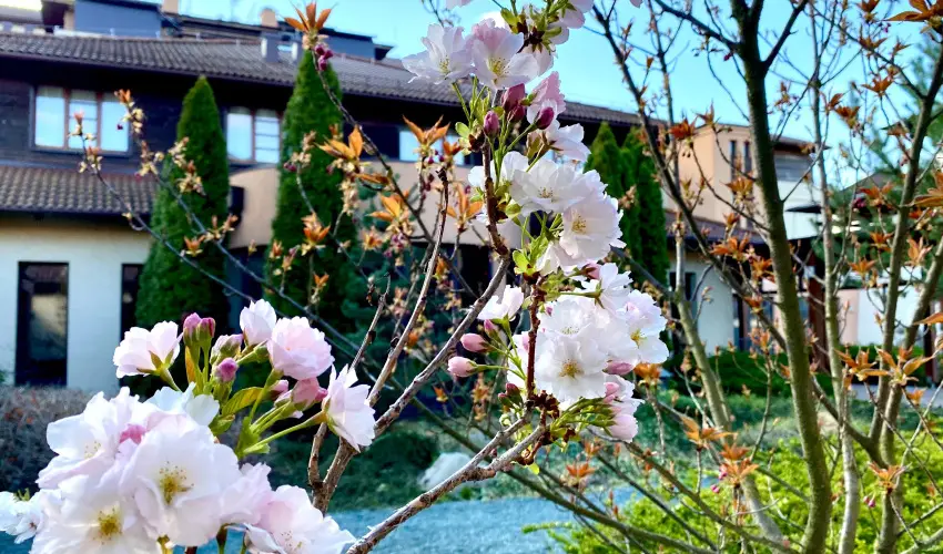 Caramell Premium Resort Bük, Bükfürdő - Október 23.