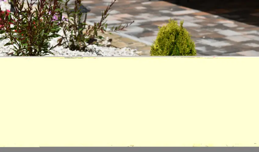 Hotel Forr�s Zalakaros Zalakaros - Okt�ber 23.