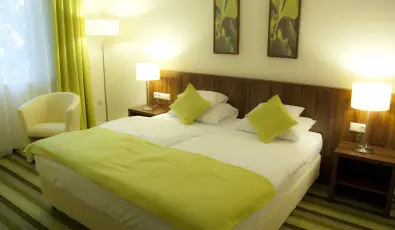 Hotel Ginkgo Hdmezvsrhely