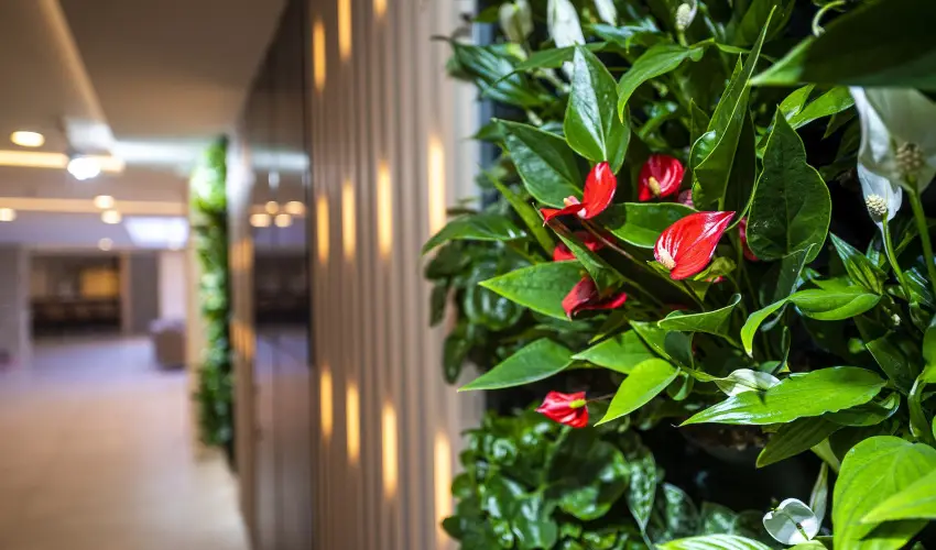 Greenfield Hotel Golf & Spa B�k, B�kf�rd� - Okt�ber 23. (min. 2 �j)