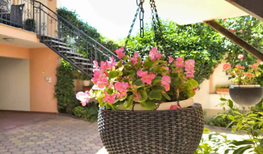 Hotel Isabell Gy�r - Okt�ber 23.