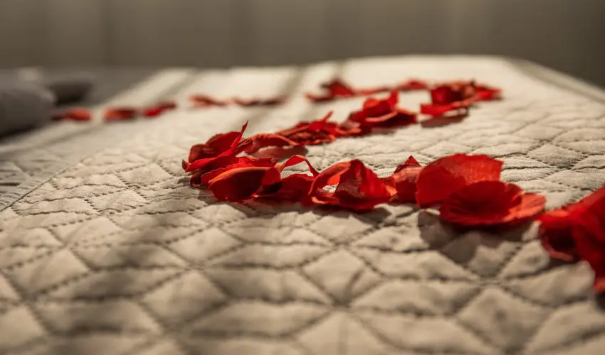 Kristly Hotel Keszthely - Oktber 23.