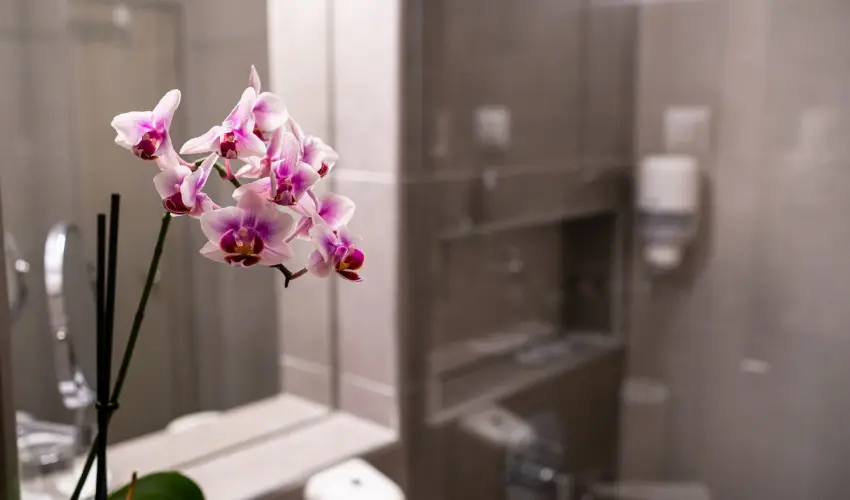 Hotel Margarta Balatonfred - Oktber 23.                                                                                                                                                                                                                                                    