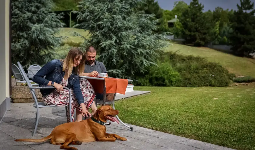 Sndor Hotel Pcs - Oktber 23. 