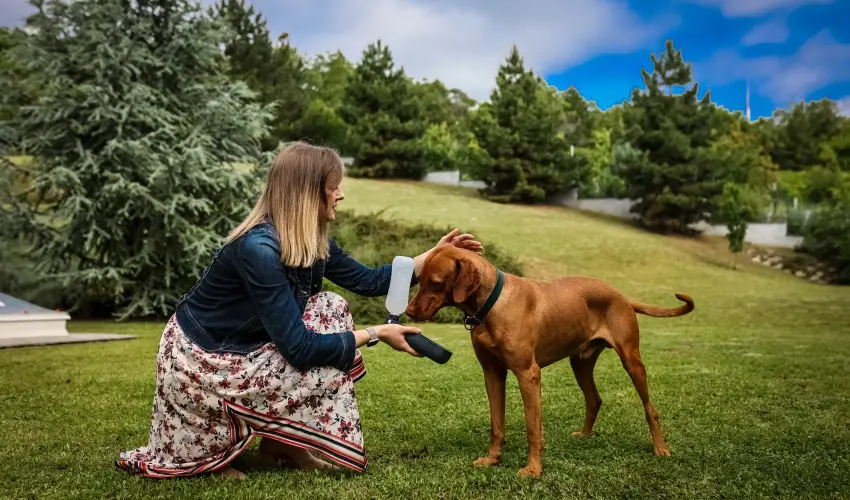 Sndor Hotel Pcs - Oktber 23. 