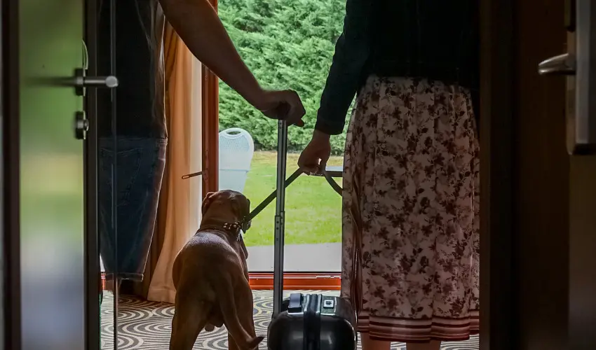 Sndor Hotel Pcs - Oktber 23. 