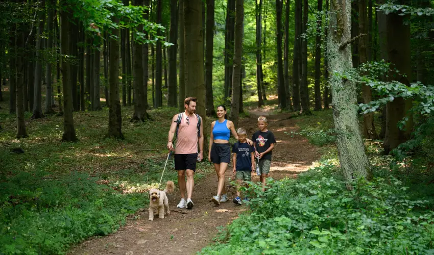 Hotel Nard Mtraszentimre - Oktber 23. (min. 2 j)