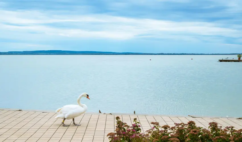 Hotel Ovit Keszthely - Oktber 23. (min. 2 j)