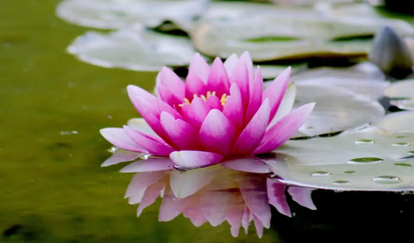 Hotel Ovit Keszthely - Oktber 23. (min. 2 j)